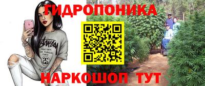 мдпв Рузаевка