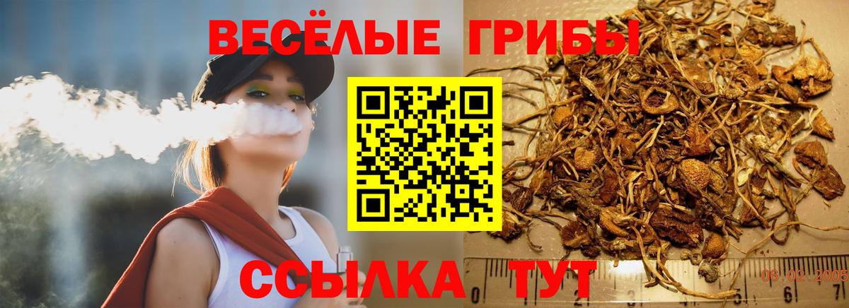 Псилоцибиновые грибы мицелий Сергиев Посад