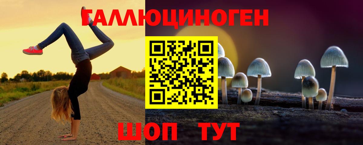 Сергиев Посад  Псилоцибиновые грибы GOLDEN TEACHER  Вход с VPN 